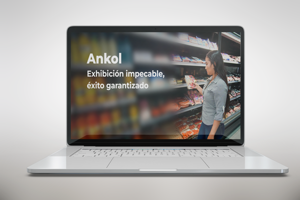 Proyecto Ankol