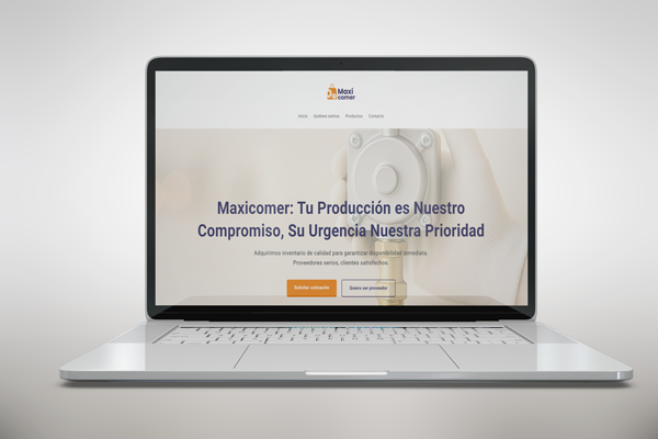 Proyecto Maxicomer