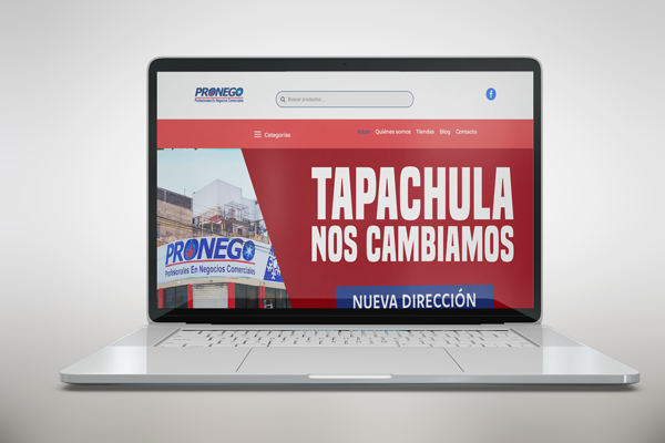 Proyecto Pronego